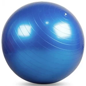 Ballon de fitness Wealis – Ballon de stabilité pour un entraînement complet du corps