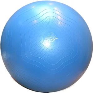 Ballon de fitness PowerPlay 4000 (65 cm) avec pompe